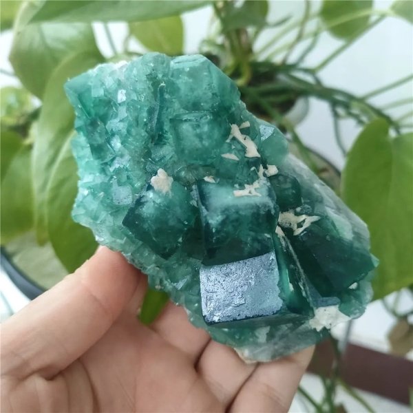 Pierre de fluorite verte brute