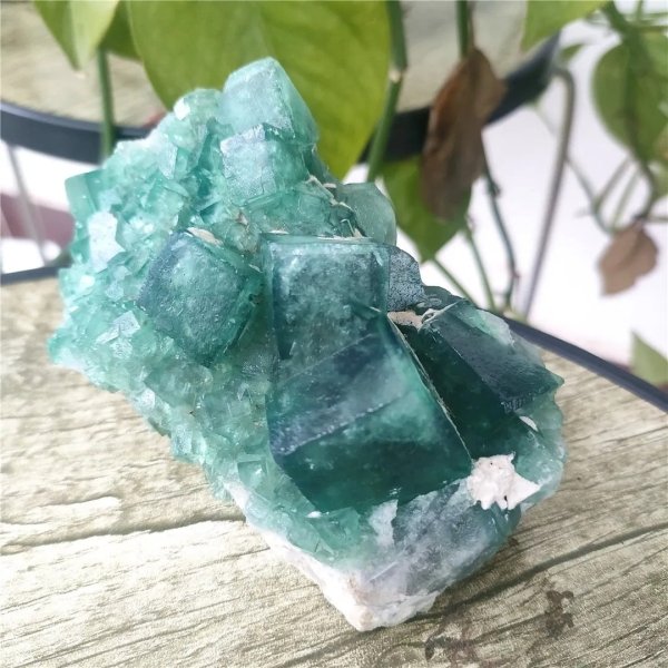 Pierre de fluorite verte brute