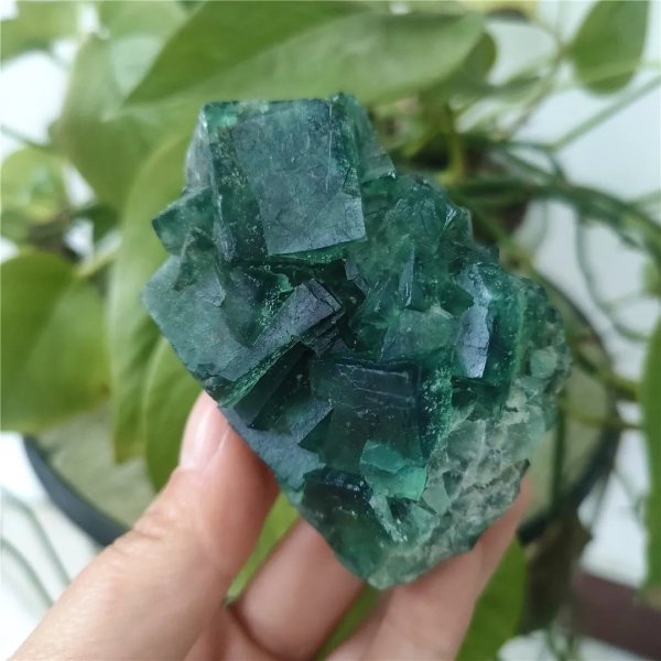 Pierre de fluorite verte brute